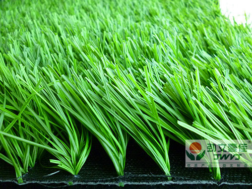 成都排水板|成都生態(tài)袋|成都植草格 成都排水板|成都生態(tài)袋|成都植草格